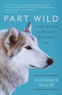 bokomslag Part Wild: Caught Between the Worlds of Wolves and Dogs