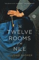 bokomslag The Twelve Rooms of the Nile