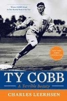 bokomslag Ty Cobb
