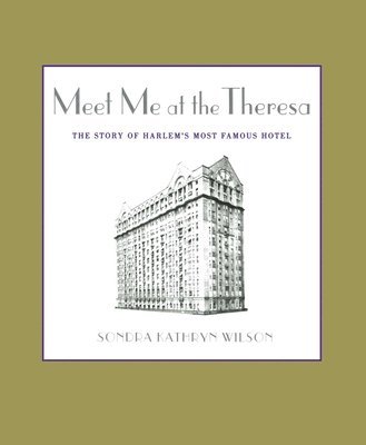 bokomslag Meet Me at the Theresa