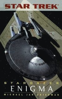 bokomslag Star Trek: The Next Generation: Stargazer: Enigma