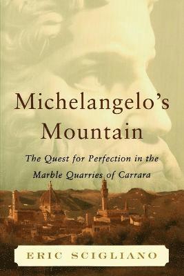 Michelangelo's Mountain 1