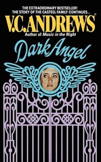 bokomslag Dark Angel