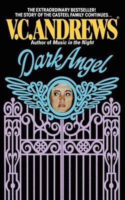 bokomslag Dark Angel