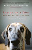 bokomslag Inside of a Dog: What Dogs See, Smell, and Know