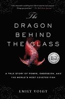 bokomslag The Dragon Behind the Glass