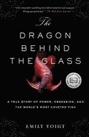 The Dragon Behind the Glass 1