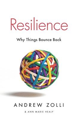 Andrew Zolli, Ann Marie Healy - Resilience: Why Things Bounce Back, Häftad