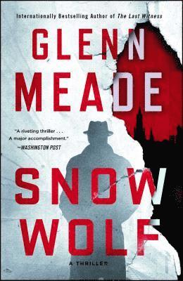 Snow Wolf: A Thriller 1