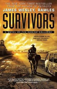 bokomslag Survivors: A Novel of the Coming Collapse