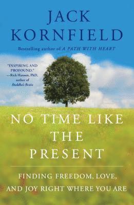 bokomslag No Time Like the Present: Finding Freedom, Love, and Joy Right Where You Are