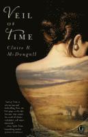 Veil of Time