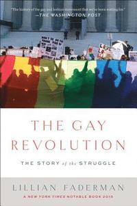 bokomslag The Gay Revolution