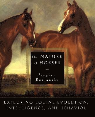 The Nature of Horses 1