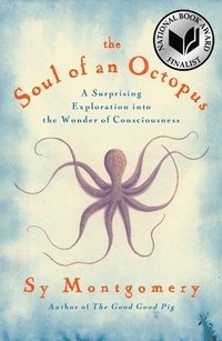 bokomslag The Soul of an Octopus: A Surprising Exploration Into the Wonder of Consciousness