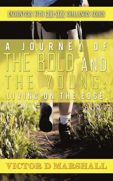 bokomslag A Journey of the Bold and the Young