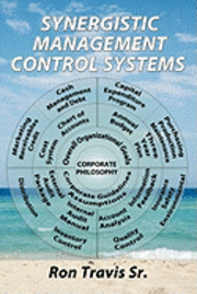 bokomslag Synergistic Management Control Systems