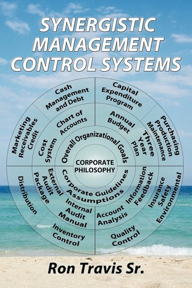 bokomslag Synergistic Management Control Systems