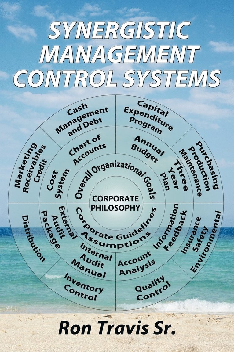 Synergistic Management Control Systems 1