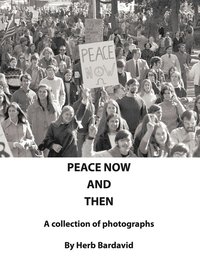 bokomslag Peace Now and Then
