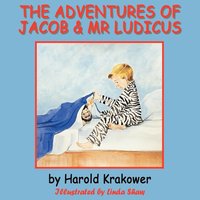 bokomslag The Adventures of Jacob & Mr Ludicus