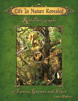 Laura Walthers - Life In Nature Revealed, Häftad