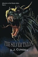 Silver Talon 1