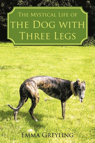 bokomslag The Mystical Life of the Dog with Three Legs