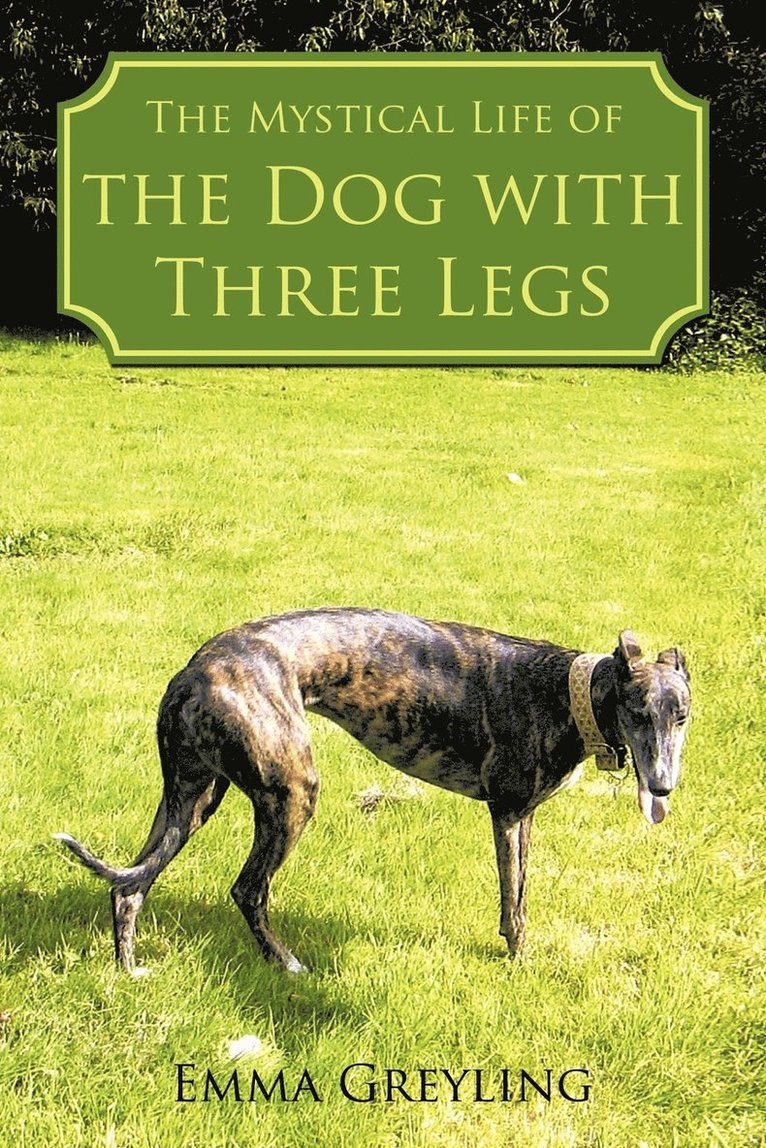 The Mystical Life of the Dog with Three Legs 1