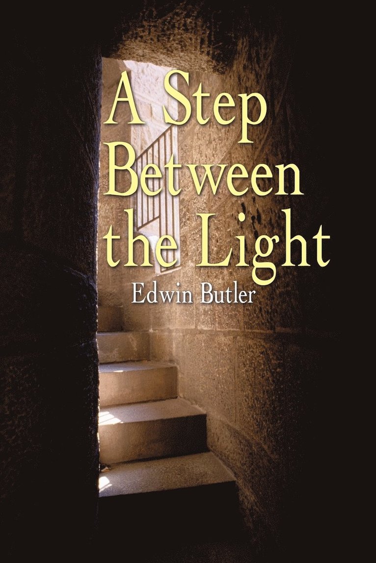 Edwin Butler - Step Between the Light, Häftad
