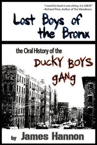 bokomslag Lost Boys of the Bronx