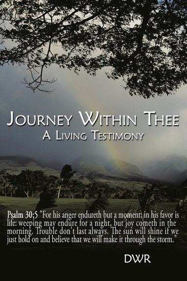 bokomslag Journey Within Thee