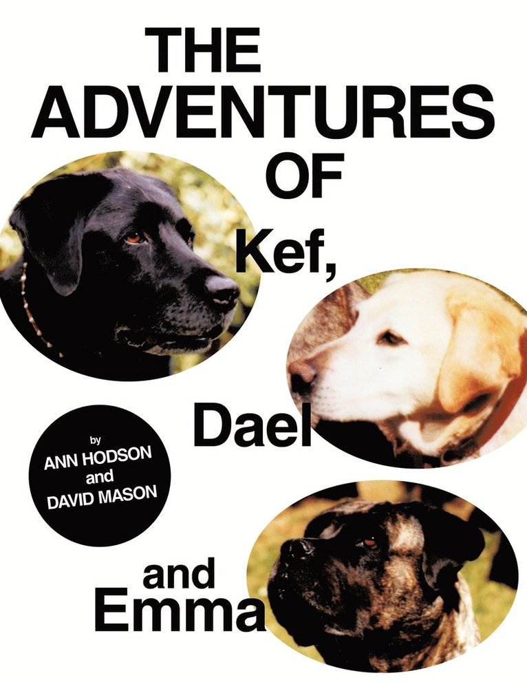 Ann Hodson, David Mason - Adventures of Kef, Dael and Emma, Häftad