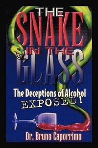 bokomslag The Snake In the Glass