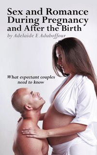 bokomslag Sex and Romance During Pregnancy and After the Birth