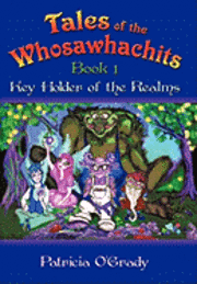 bokomslag Tales of the Whosawhachits