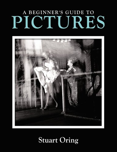 Stuart Oring - Beginner's Guide to Pictures, Häftad