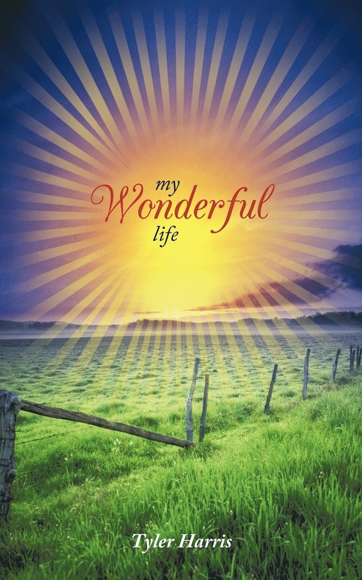 My Wonderful Life 1