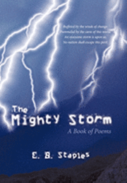 bokomslag The Mighty Storm