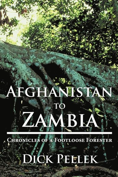 Dick Pellek - Afghanistan to Zambia, Häftad