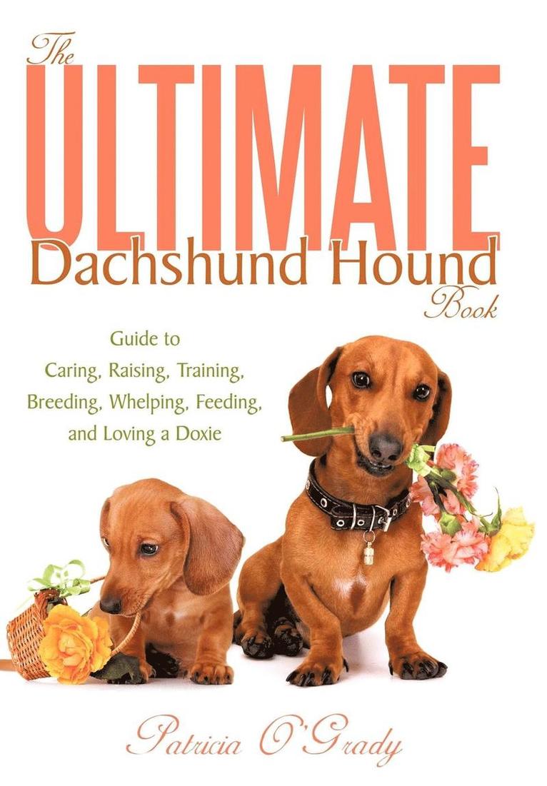 Patricia O'Grady - Ultimate Dachshund Hound Book, Inbunden