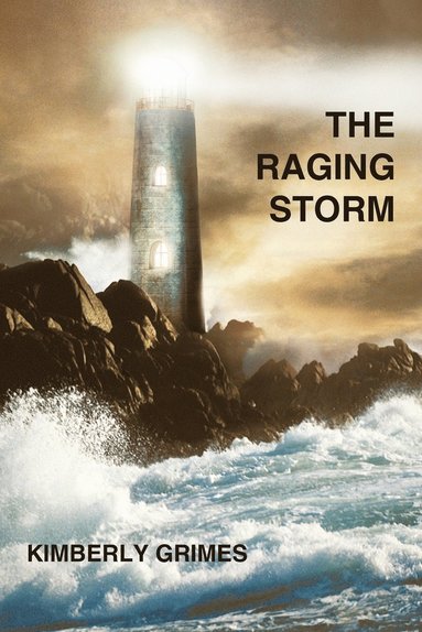 bokomslag Raging Storm