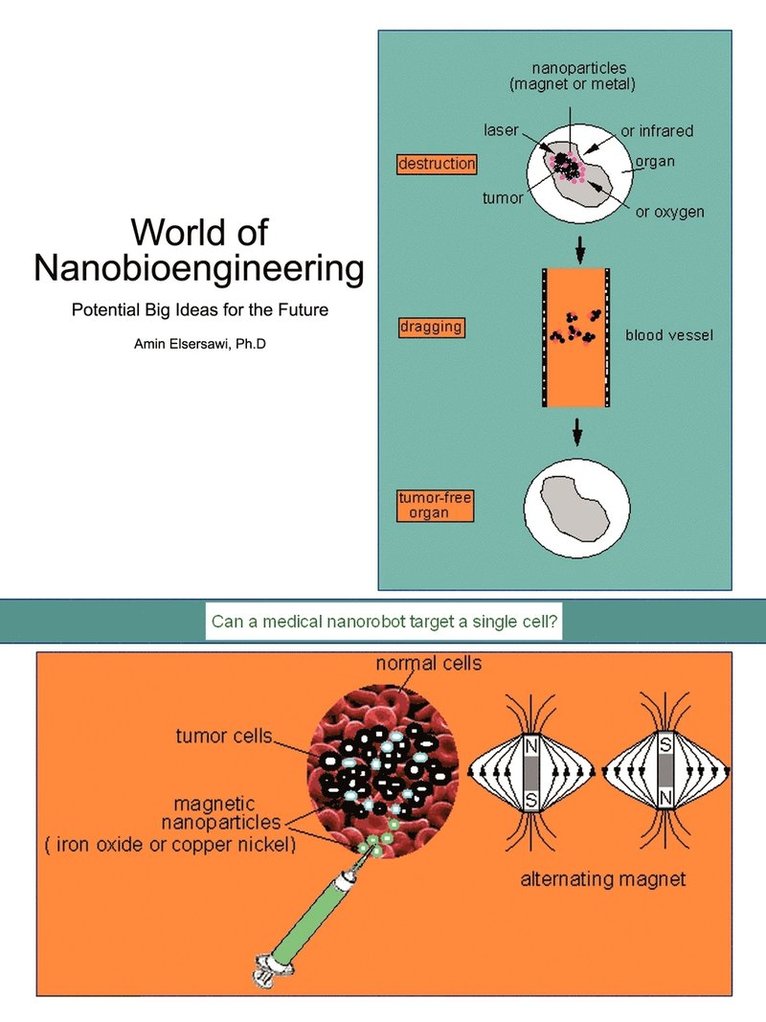 Amin Elsersawi Ph.D, Amin Elsersawi Ph. D., Amin Elsersawi Ph. D - World of Nanobioengineering, Häftad