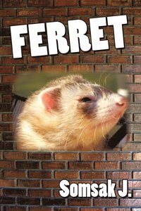 bokomslag Ferret