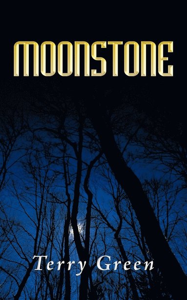 bokomslag Moonstone