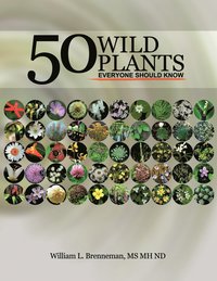 bokomslag 50 Wild Plants Everyone Should Know