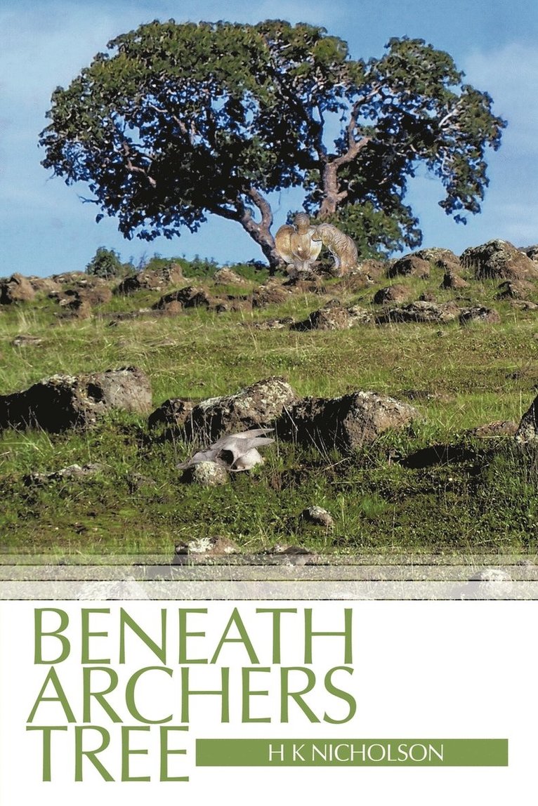 Beneath Archers Tree