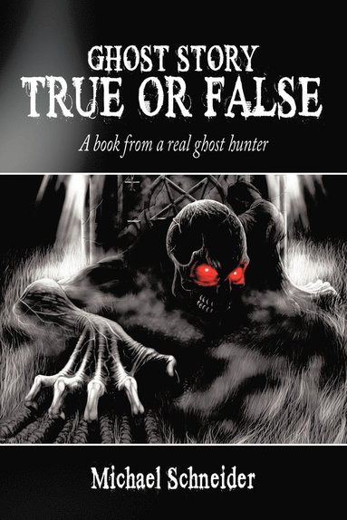 bokomslag Ghost Story True or False