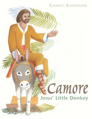 bokomslag Camore