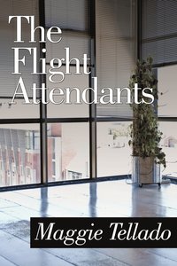 bokomslag The Flight Attendants